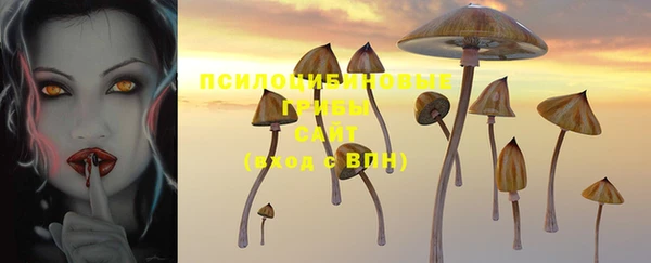 стаф Нефтекумск